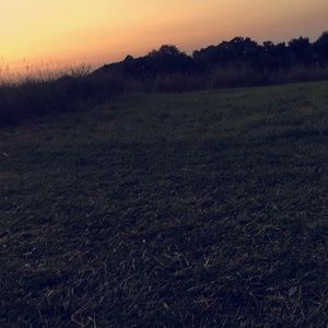 Meet your Posher, Martyna